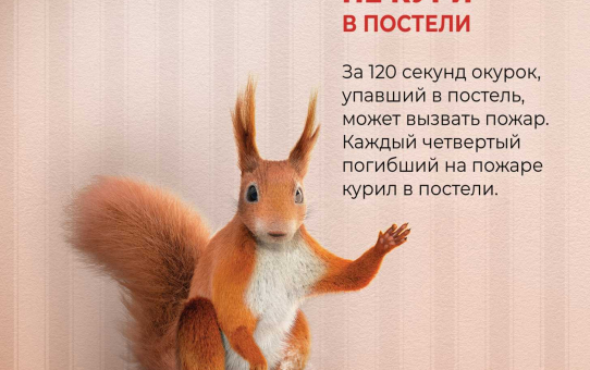 «Дым сигарет…»